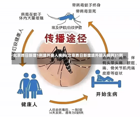 北京昨日新增1例境外输入病例(北京昨日新增境外输入病例31例)