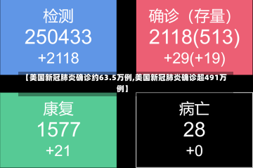 【美国新冠肺炎确诊约63.5万例,美国新冠肺炎确诊超491万例】