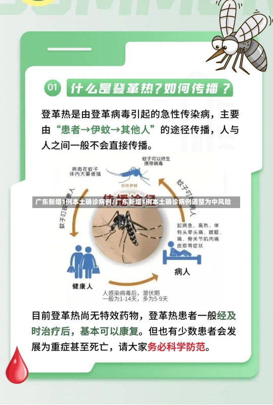 广东新增1例本土确诊病例/广东新增1例本土确诊病例调整为中风险