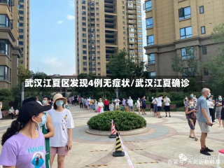 武汉江夏区发现4例无症状/武汉江夏确诊