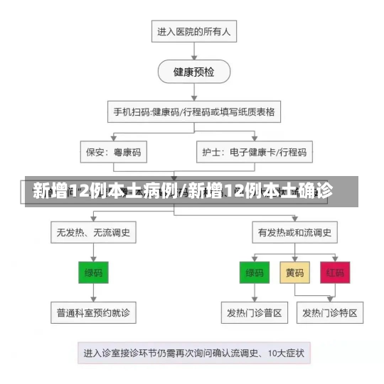 新增12例本土病例/新增12例本土确诊