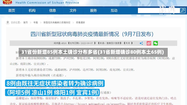 31省份新增85例本土确诊分布多省(31省新增确诊80例本土65例)