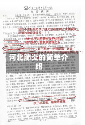 河北肺炎的简单介绍