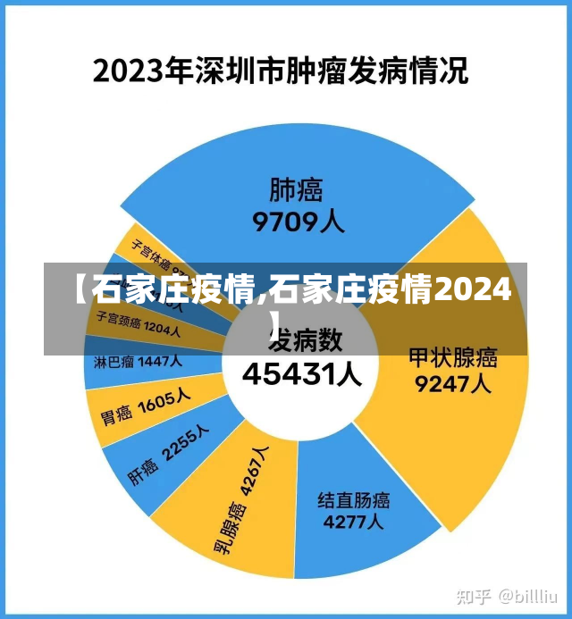 【石家庄疫情,石家庄疫情2024】