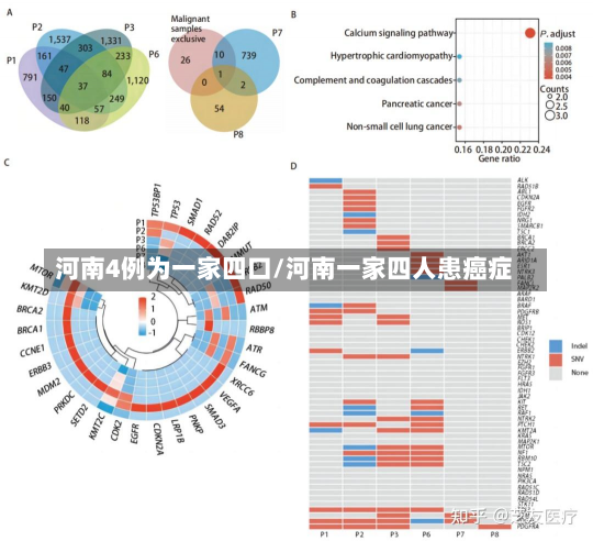 河南4例为一家四口/河南一家四人患癌症