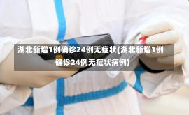 湖北新增1例确诊24例无症状(湖北新增1例确诊24例无症状病例)