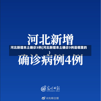 河北新增本土确诊3例(河北新增本土确诊3例是哪里的)