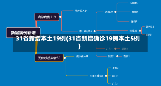 31省新增本土19例(31省新增确诊19例本土5例)