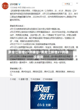 黑龙江新增27例确诊/黑龙江新增27例确诊病例