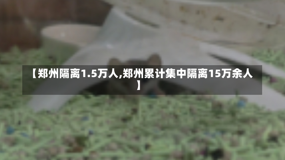 【郑州隔离1.5万人,郑州累计集中隔离15万余人】