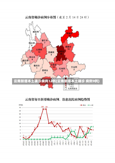 云南新增本土确诊病例12例(云南新增本土确诊 病例9例)