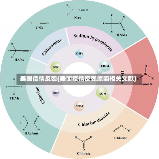 美国疫情反弹(美国疫情反弹原因相关文献)