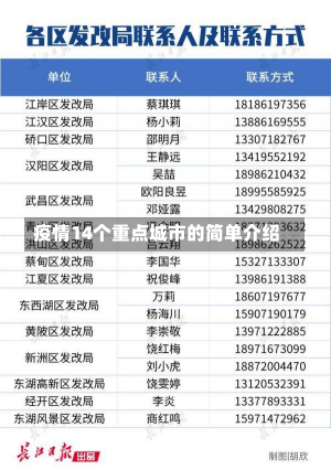 疫情14个重点城市的简单介绍