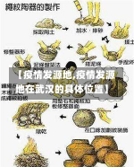 【疫情发源地,疫情发源地在武汉的具体位置】