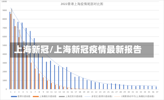 上海新冠/上海新冠疫情最新报告