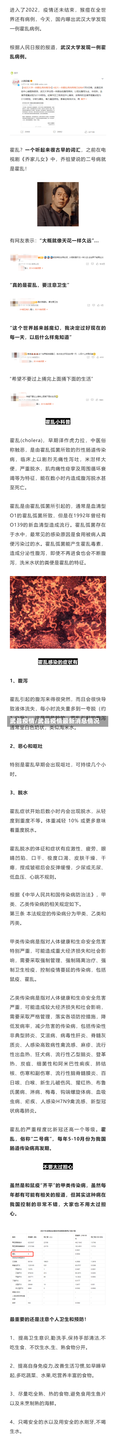 武昌疫情/武昌疫情最新消息情况