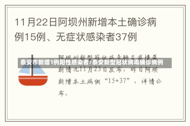 泰安市新增1例阳性感染者/泰安新型冠状病毒确诊病例