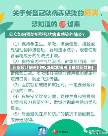 新型冠状病毒山东(新冠状病毒山东最新数据)