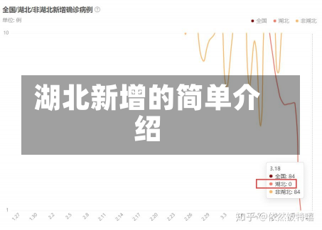 湖北新增的简单介绍