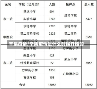 辛集疫情/辛集疫情是什么时候开始的