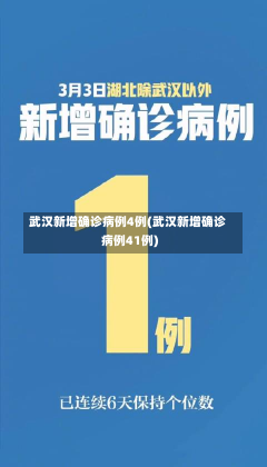 武汉新增确诊病例4例(武汉新增确诊病例41例)