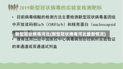 新型冠状病毒河北(新型冠状病毒河北最新情况)