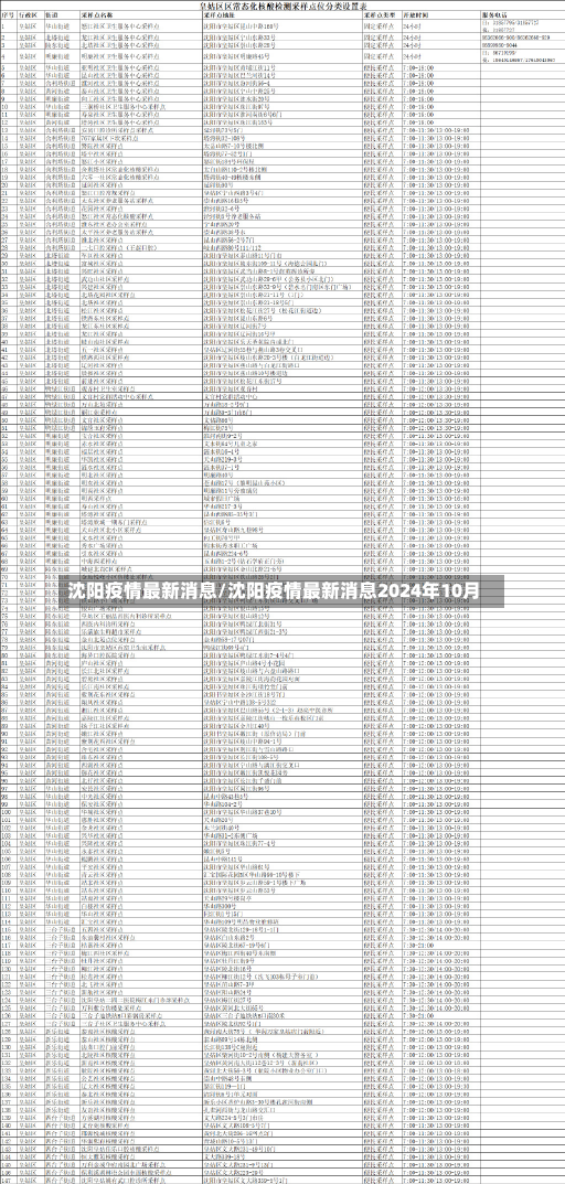 沈阳疫情最新消息/沈阳疫情最新消息2024年10月