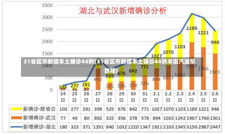 31省区市新增本土确诊44例(31省区市新增本土确诊44例本田汽油泵故障)