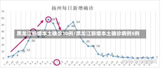 黑龙江新增本土确诊10例/黑龙江新增本土确诊病例5例