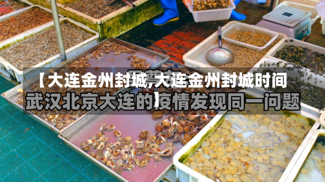 【大连金州封城,大连金州封城时间】