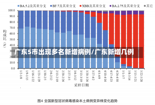 广东5市出现多名新增病例/广东新增几例