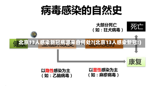 北京13人感染新冠病源来自何处?(北京13人感染新冠!)