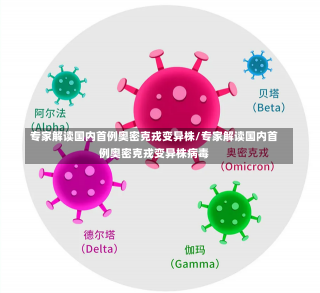 专家解读国内首例奥密克戎变异株/专家解读国内首例奥密克戎变异株病毒