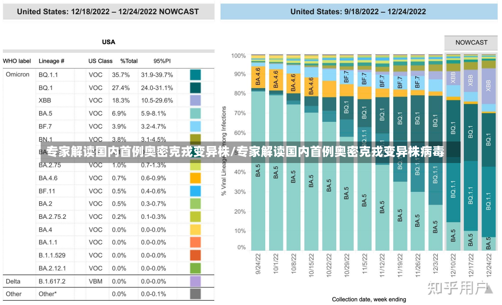 专家解读国内首例奥密克戎变异株/专家解读国内首例奥密克戎变异株病毒