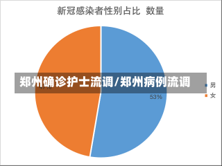 郑州确诊护士流调/郑州病例流调