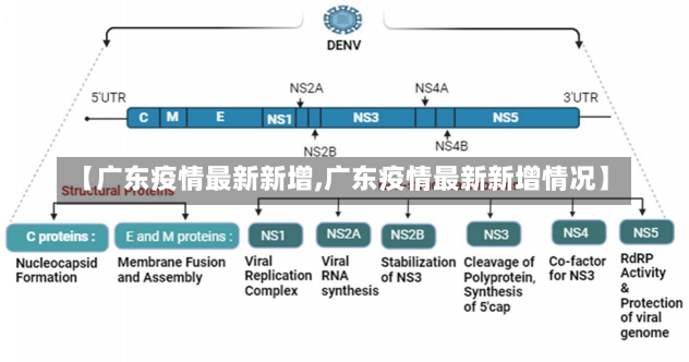 【广东疫情最新新增,广东疫情最新新增情况】