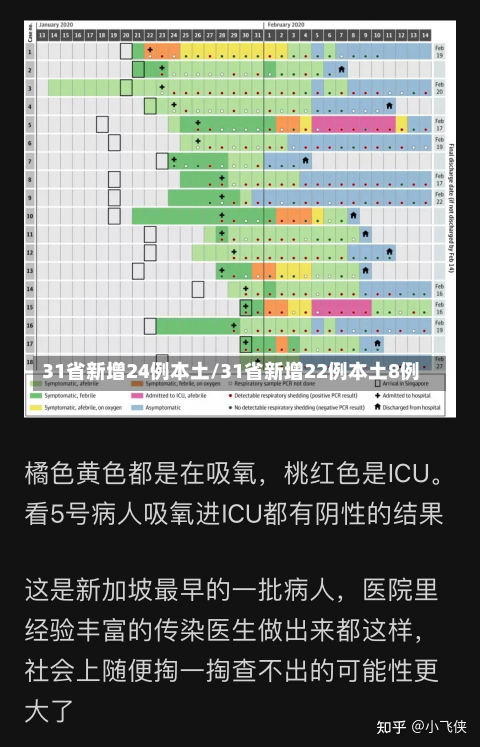 31省新增24例本土/31省新增22例本土8例