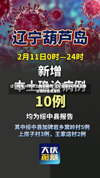 辽宁新增20例本土确诊病例/辽宁新增20例本土确诊病例是哪里的