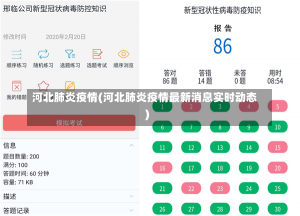 河北肺炎疫情(河北肺炎疫情最新消息实时动态)