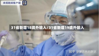 31省新增18境外输入/31省新增19境外输入