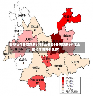 新华社评云南新增6例本土确诊(云南新增6例本土确诊病例行动轨迹)