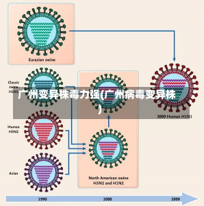 广州变异株毒力强(广州病毒变异株)